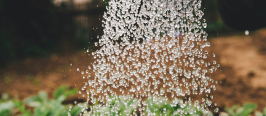 Foto ¿Cómo impulsa el IoT el ahorro de agua?